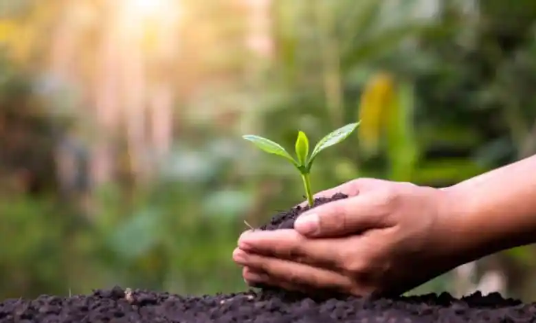 هذا مثال توضيحي لإعلان مقدم خدمات زراعة الحدائق وتنسيق المساحات الخضراء، وليس إعلانًا حقيقيًا.