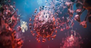 منظمة الصحة تطلق اسم "أوميكرون" على متحورة فيروس كورونا الجديدة وتصنفها "مقلقة"