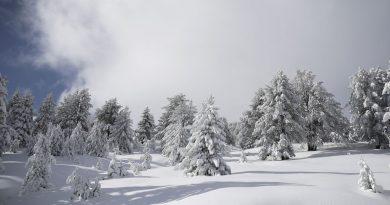 تساقطت الثلوج في أجزاء كثيرة من البلاد - "صور فيديو"