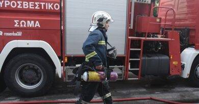 حريق كبير في ساحة للسيارات في أنو ليوسيا - فيديو