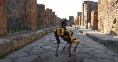 بالفيديو: كلب آلي لمراقبة لصوص "مدينة بومبي" 