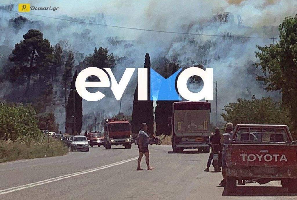 إيفيا: حريق في منطقة غابات في أليفيري، بالقرب من منطقة سكنية - ومنطقة بدون كهرباء