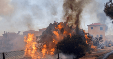 السلطات اليونانية تخلي الممتلكات الساحلية في جزيرة ليسفوس مع انتشار حرائق الغابات