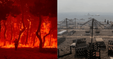حريق ليسفوس صورة ومقطع فيديو مروعة - وصلت ألسنة اللهب إلى الشاطئ