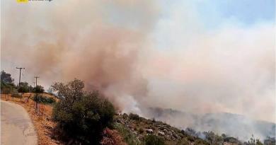 اليونان.. حريق في ريثيمنون وإخلاء احترازي للقرى المجاورة