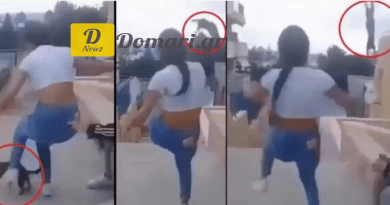 كريت.. غرامة قدرها 5000 يورو لفتاة إساءة معاملة قطة - فيديو