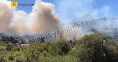 اندلاع حريق في كورفو بالقرب من المنازل في أجيا جورجي - فيديو