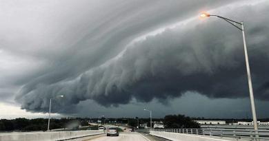 بث مباشرمن إعصار فلوريدا مع رياح تبلغ سرعتها 250 كم / ساعة