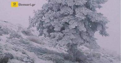 أول تساقط للثلوج في بارناسوس وكيماكتسالان هذا العام