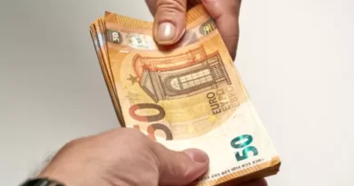 Programit dabruneba italiidan saqartveloshi