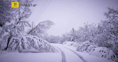 الصقيع في شمال اليونان مع تسجيل أدنى درجات الحرارة وصلت الى -8 درجات