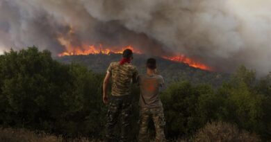 اليونان.. النيران تلتهم المنازل والغابات بينما تخرج حرائق الغابات التي خلفت 20 قتيلاً في اليونان عن السيطرة - صور