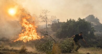 تخطط الحكومة اليونانية لفرض عقوبات أكثر صرامة على عمليات الحرق العمد في أعقاب موجة من حرائق الغابات