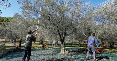 اليونان تمنح تصاريح العمل لـ 30 ألف مهاجر غير نظامي مسيرة جديدة نحو الاندماج والفرص