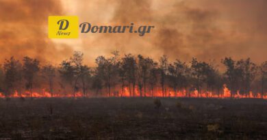 تسجيل 49 حريقا خلال 24 ساعة يثير القلق في اليونان