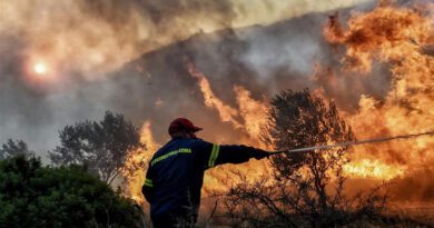 اليونان اندلاع 67 حريقا زراعيا في ال24 ساعة الأخيرة
