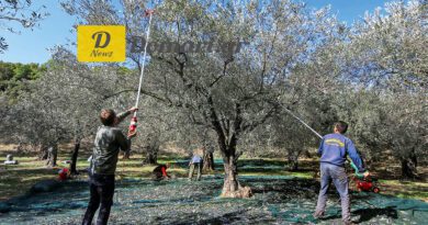 اليونان تفتح أبوابها ل 2400 عامل مصري لتعزيز الاقتصاد المشترك