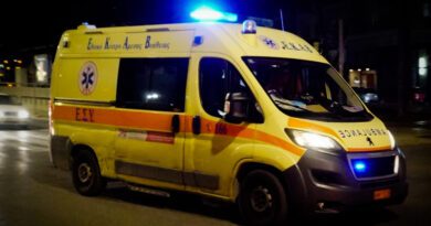 هجوم كلب يسفر عن إصابة طفل في السابعة من عمره في بسيريس