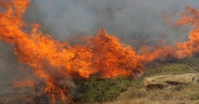 إدارة الإطفاء: ارتفاع حالات الحرائق إلى 41 خلال الساعات الأخيرة – القبض على متهم في إيتولواكارنانيا