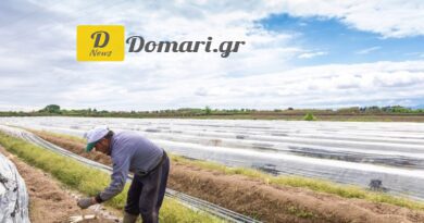 اليونان تفتتح منصة إلكترونية لتوظيف العمالة المصرية الموسمية في القطاع الزراعي