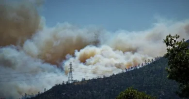 اندلاع حريق في بارنيثا بسبب انفجار عمود كهرباء: وتعزيزات جوية وبرية لمكافحة النيران