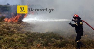 الأمانة العامة للحماية المدنية في اليونان تحذير من ارتفاع خطر الحرائق في سبع مناطق يوم الأربعاء