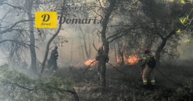 حريق ضخم في خيوس تعبئة شاملة لإدارة الإطفاء