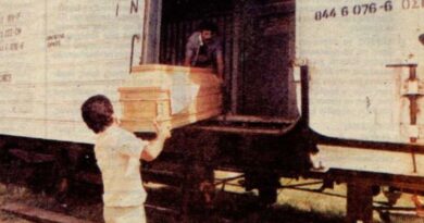 في مثل هذا اليوم من عام 1987 موجة حر قاتلة تتحول إلى مأساة وطنية وتسببت في وفاة 1300 شخص