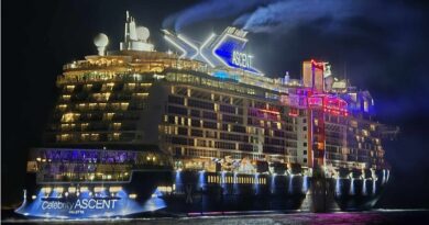 سفينة سياحية عملاقة تفشل في الرسو في سيروس لنقل راكب مريض إلى المستشفى