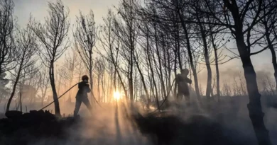 راكب دراجة نارية يرتدي زي رجال الإطفاء يشعل حرائق الغابات في شمال شرق أتيكا