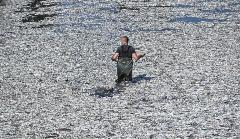 بلدية فولوس تعلن حالة الطوارئ بسبب تلوث بيئي هائل ناتج عن نفوق الأسماك