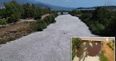 صور مرعبة لنهر زيريس في فولوس التقطتها طائرة بدون طيار لأطنان من الأسماك الميتة