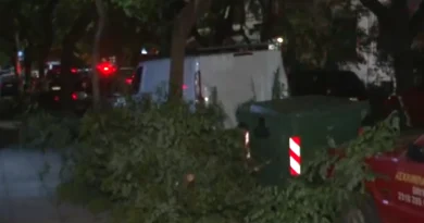 رياح عاتية تضرب سالونيك تساقط عشرات الأشجار ومشاكل مرورية في المدينة