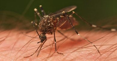 ارتفاع عدد وفيات وإصابات فيروس غرب النيل في اليونان