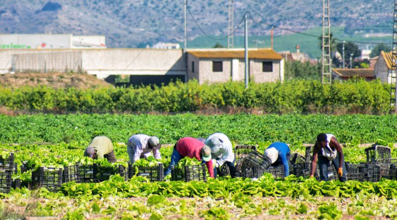 الحكومة اليونانية تطلق إصلاحات جذرية لاستقدام العمالة الأجنبية وسد النقص في اليد العاملة