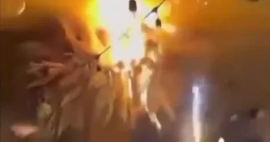 حريق في حانة شهيرة بباغراتي الألعاب النارية على كعكة تتسبب في كارثة