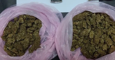 اعتقالات في أتيكا ضبط مختبر متكامل لزراعة القنب المائي (Skunk)