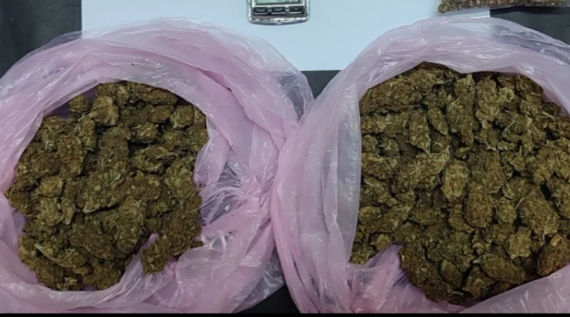 اعتقالات في أتيكا ضبط مختبر متكامل لزراعة القنب المائي (Skunk)