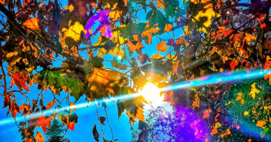 طقس ربيعي وأمطار محلية خلال الأيام القادمة في اليونان