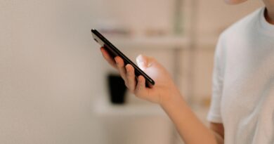 samushao shesadzleblobebi utskhoetshi kartveli emigrant’ebistvis: tkveni ch’k’viani gzamk’vlevi onlain vak’ansiebistvis