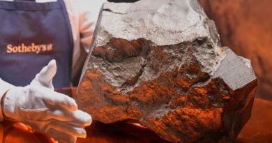 بيع نيزك مريخي نادر بسعر قياسي 5.3 مليون دولار يشعل الجدل العلمي والمزادات العالمية